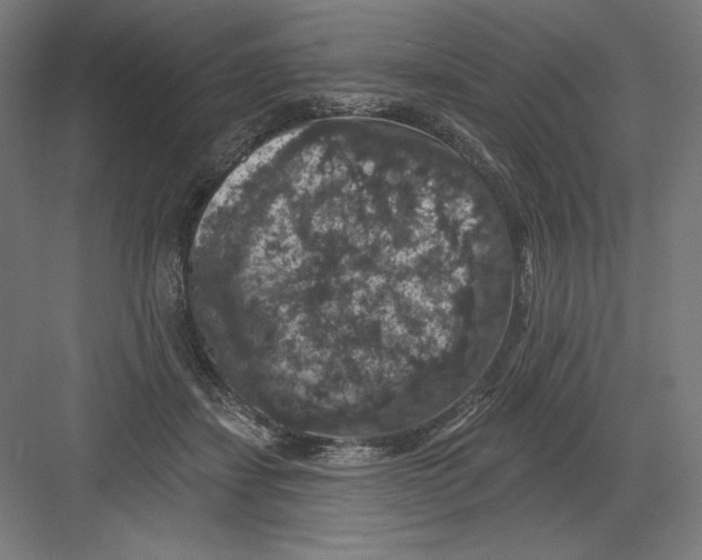 X0000082180459200702092314