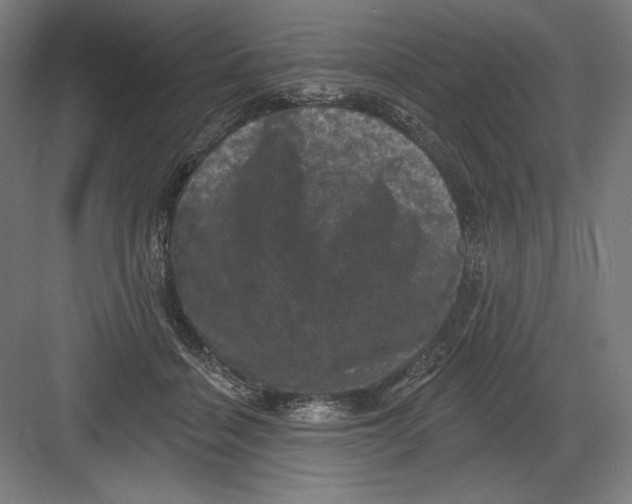 X0000082180460200702092314