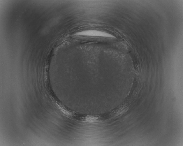 X0000082180462200702092314