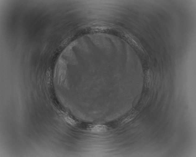 X0000082180463200702092314
