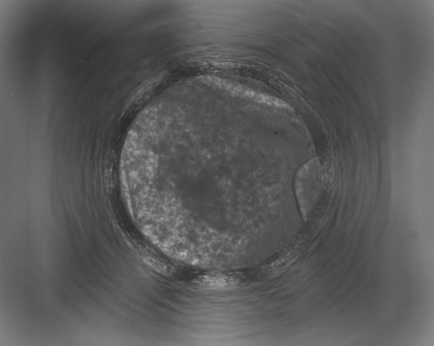 X0000082180464200702092314