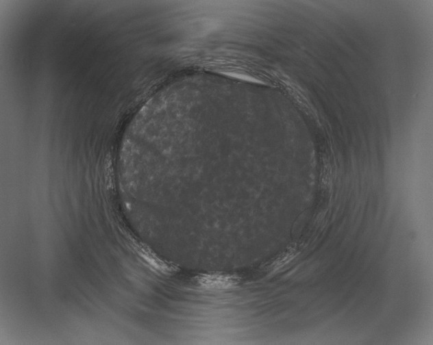 X0000082180465200702092314