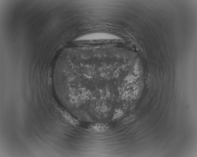 X0000082180466200702092314