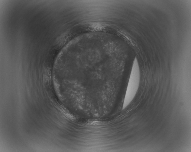 X0000082180467200702092314