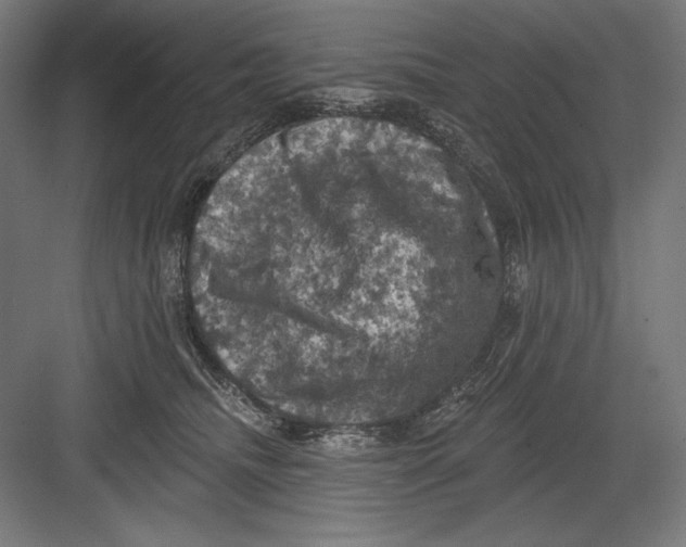 X0000082180468200702092314