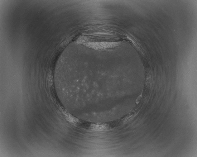 X0000082180469200702092314