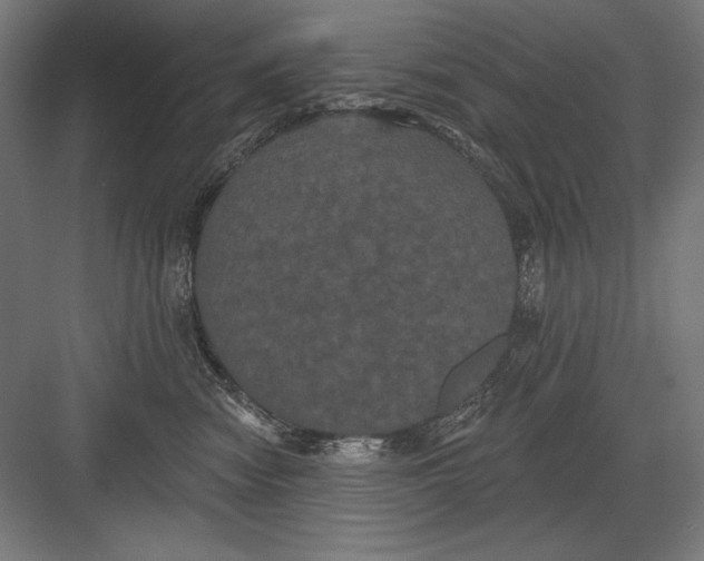 X0000082180474200702092314