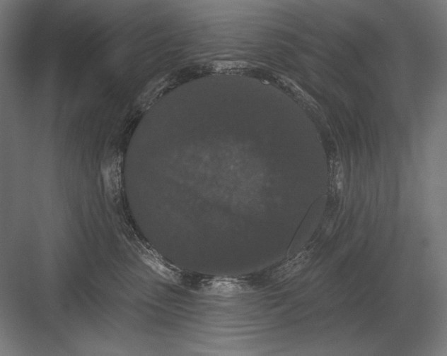 X0000082180475200702092314