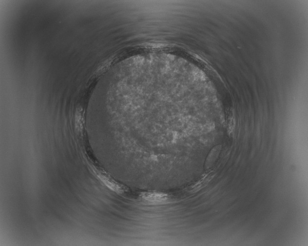 X0000082180476200702092314