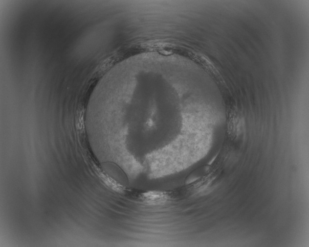 X0000082180477200702092314