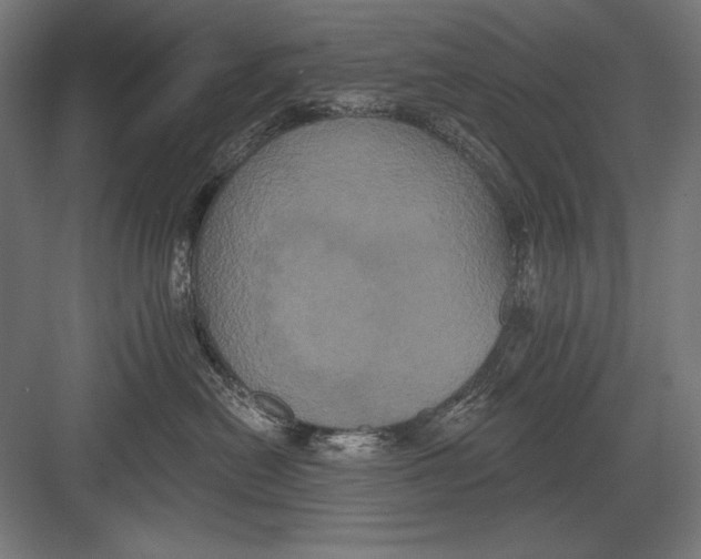 X0000082180478200702092314