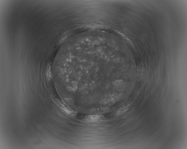 X0000082180479200702092314