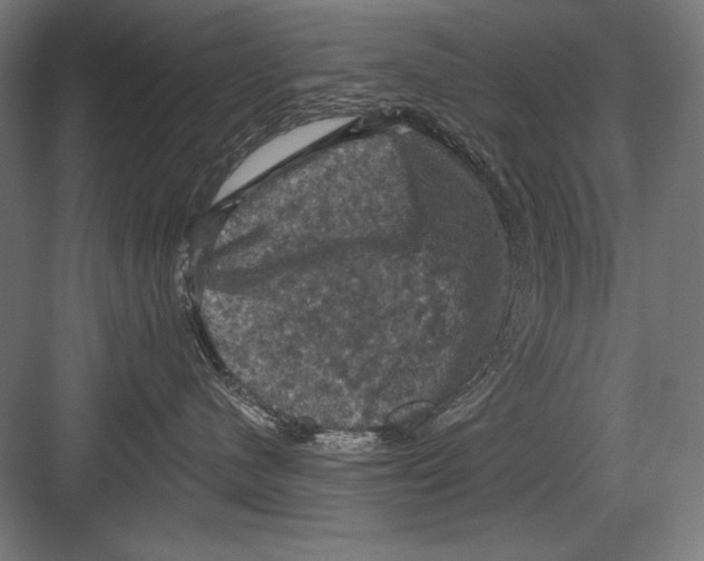X0000082180480200702092314