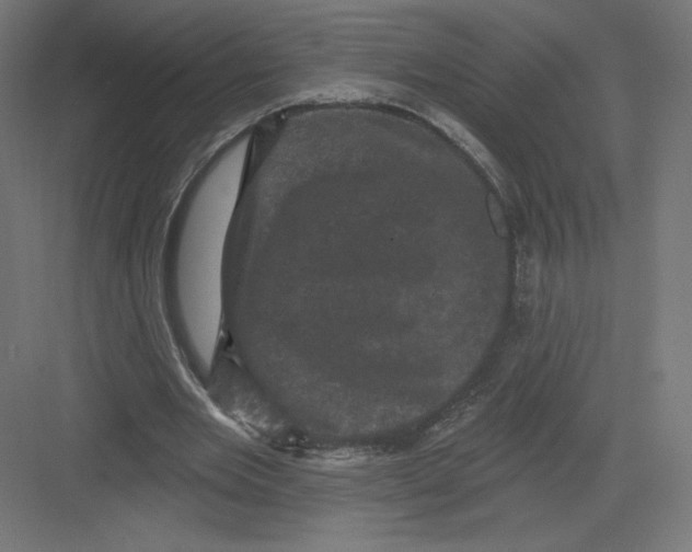 X0000082180485200702092313
