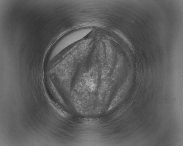 X0000082180486200702092313