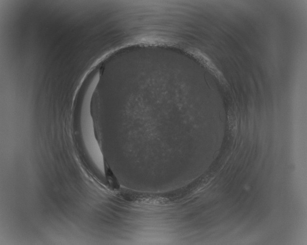 X0000082180488200702092313