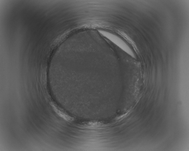 X0000082180493200702092313