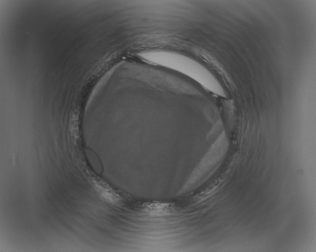 X0000082180497200702092313