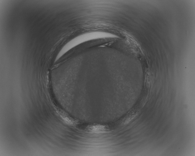 X0000082180501200702092313
