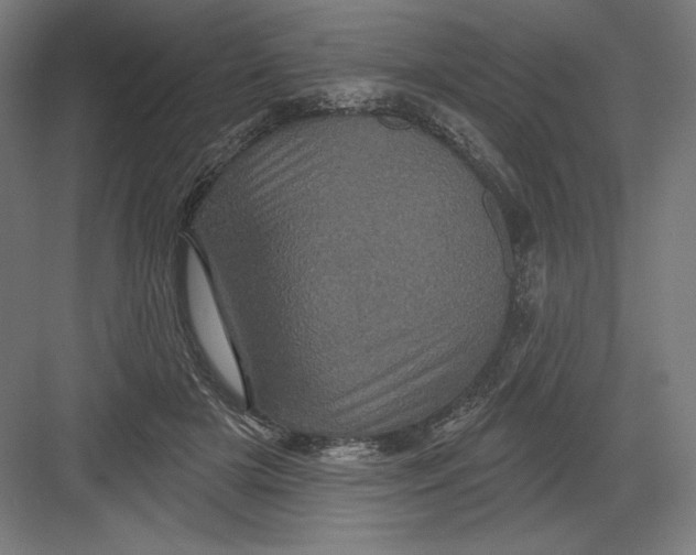 X0000082180505200702092313