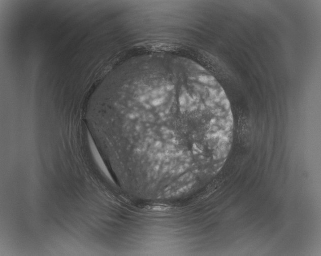 X0000082180506200702092313