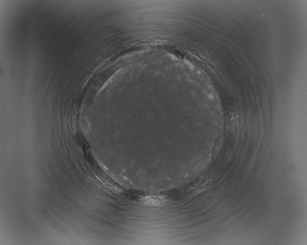 X0000082180508200702092313