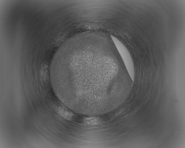 X0000082180511200702092313