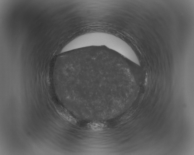 X0000082180512200702092313