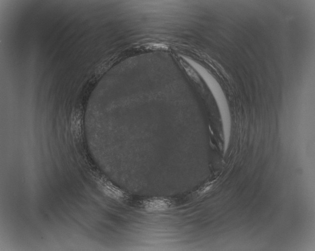 X0000082180513200702092313