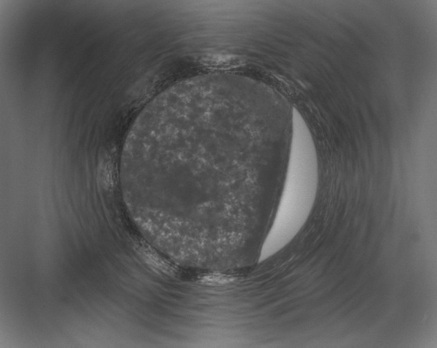 X0000082180515200702092313