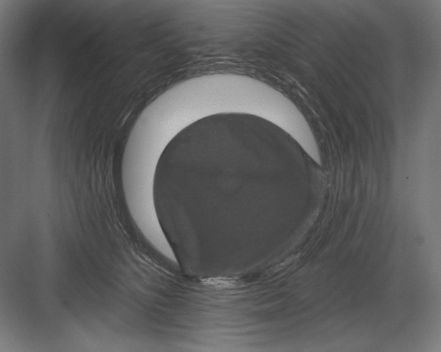 X0000082180516200702092313