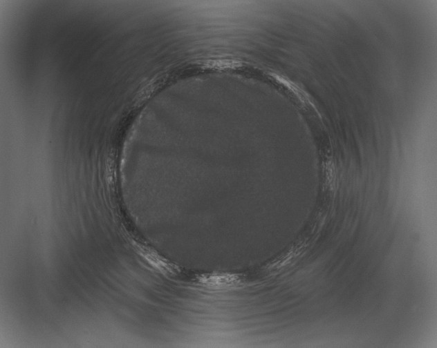 X0000082180517200702092313