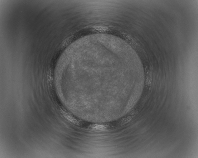 X0000082180518200702092313