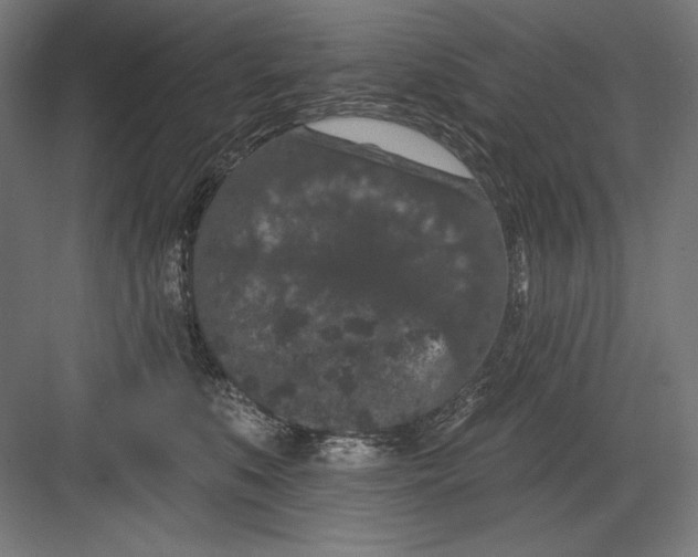 X0000082180519200702092313