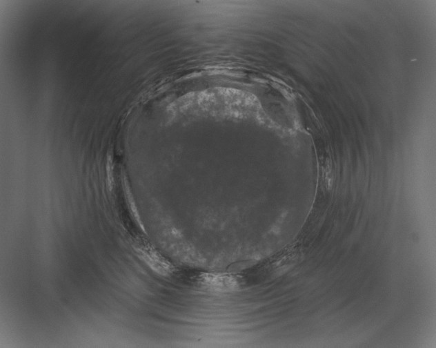 X0000082180520200702092313