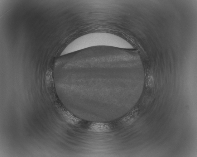 X0000082180521200702092313