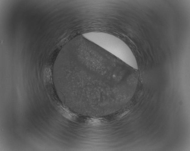 X0000082180523200702092313