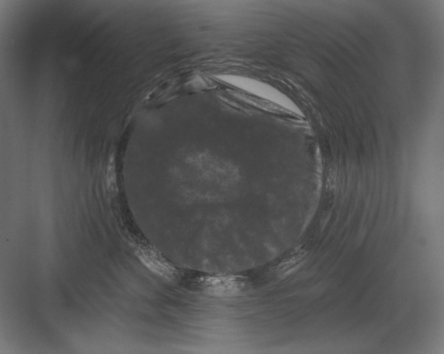 X0000082180524200702092313