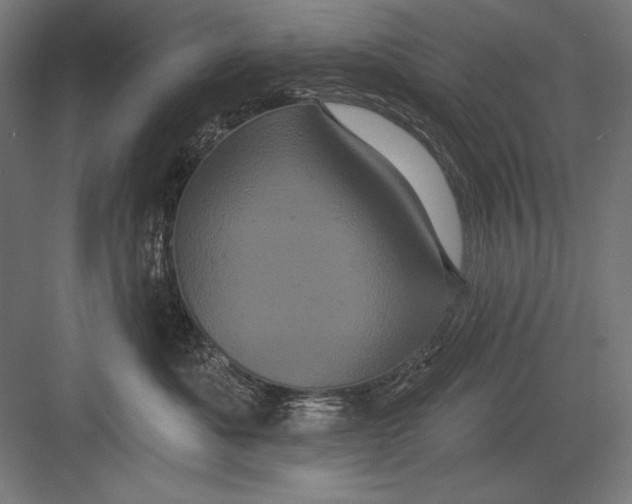X0000082180525200702092313