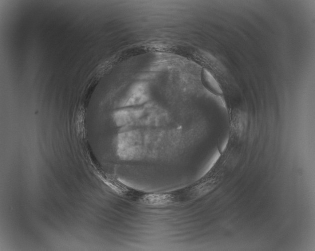 X0000082180526200702092313