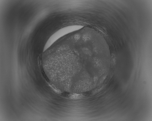 X0000082180527200702092312