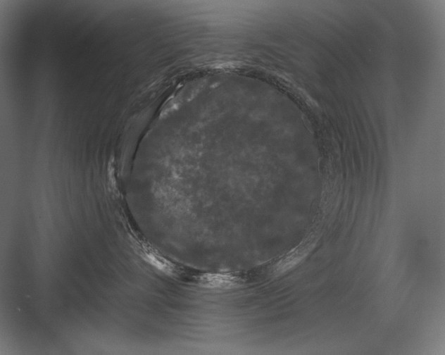 X0000082180528200702092312
