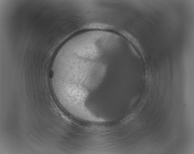 X0000082180529200702092312