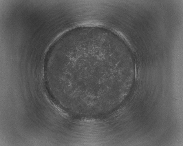 X0000082180531200702092312