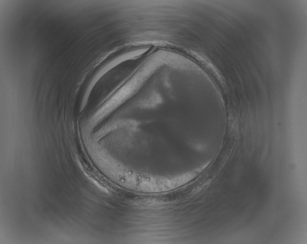 X0000082180533200702092312
