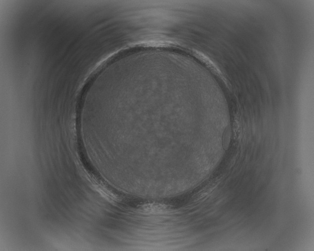X0000082180535200702092312