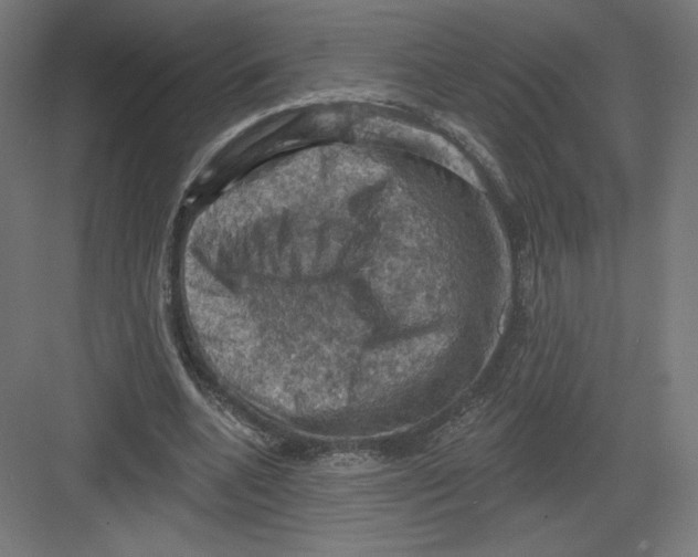 X0000082180536200702092312