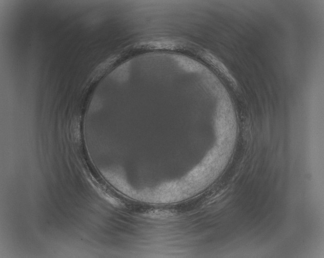 X0000082180537200702092312