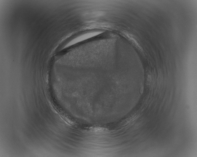 X0000082180539200702092312