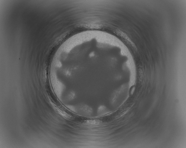 X0000082180541200702092312